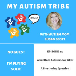 What Does Autism Look Like: A Frustrating Question