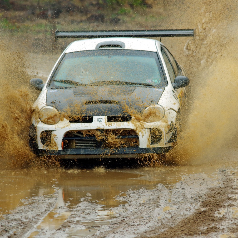 OpenPaddock RallyCast