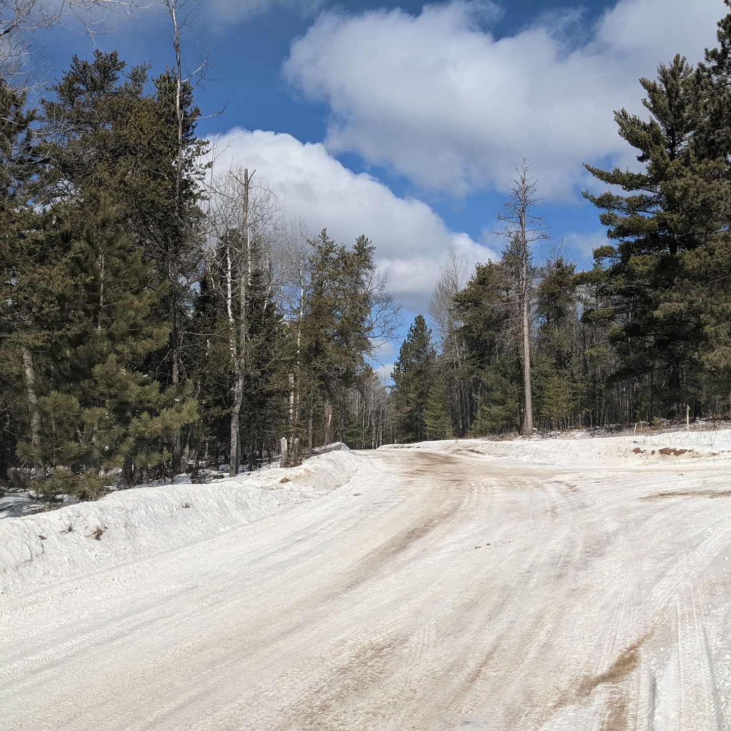 OpenPaddock RallyCast