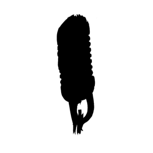 A015 - Announcement - Welcome to the New It's A Mimic!