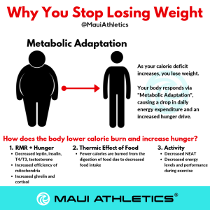 Ep108 Metabolic Adaptation