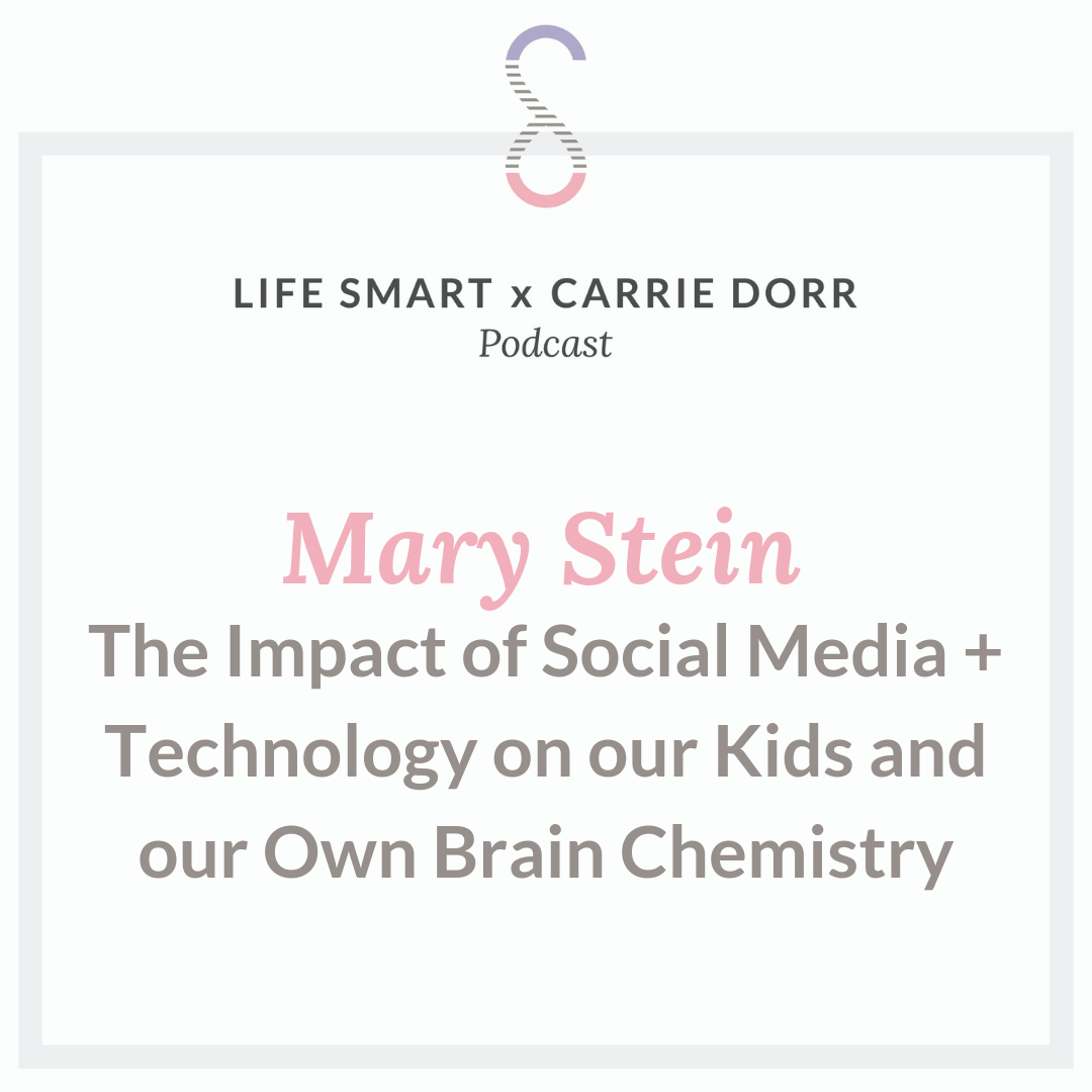 Mary Stein: The Impact of Social Media + Technology on our Kids and our Own Brain Chemistry