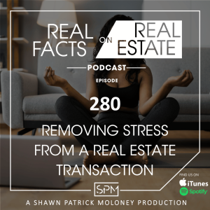 Man in the Mirror  - EP 281 - Real Facts on Real Estate