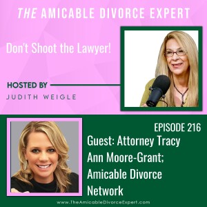 Don’t Shoot the Lawyer w/Attorney Tracy Ann Moore-Grant, Founder of the Amicable Divorce Network
