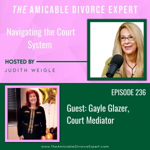 Navigating the Court System w/Gayle Glazer, Court Mediator