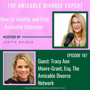How to Identify and Find Amicable Attorneys w/Tracy Ann Moore, Esq. of The Amicable Divorce Network