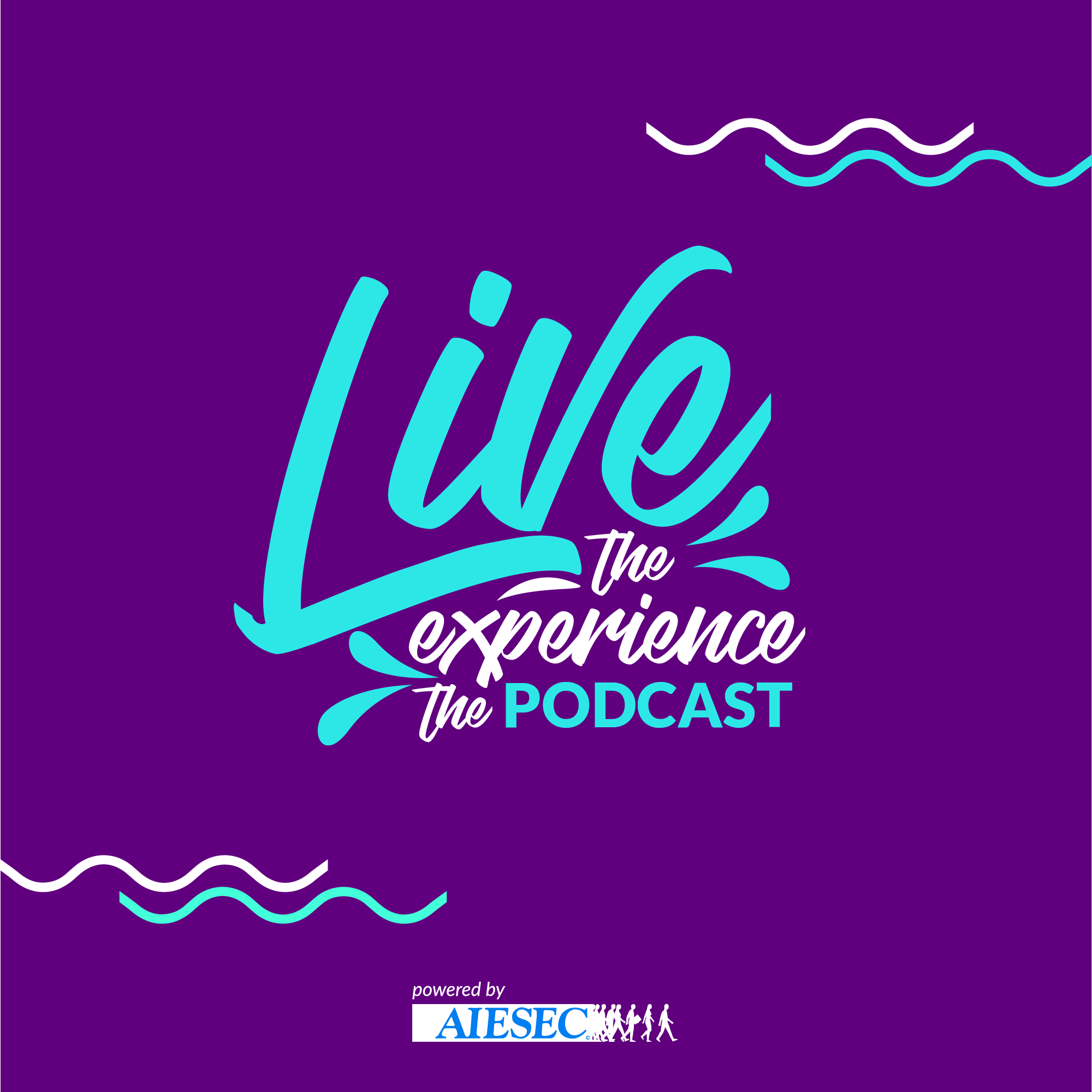 #13.2 What does it take to change your career path?