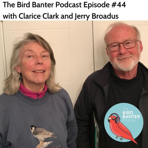 Bird Banter