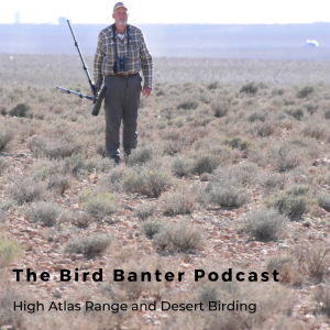 The Bird Banter Podcast: Morocco High Atlas and Desert Birding
