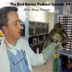 The Bird Banter Podcast Episode #9 with Shep Thorpe