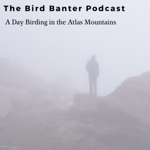 The Bird Banter Podcast: A Day Birtding in the Atlas Mountains