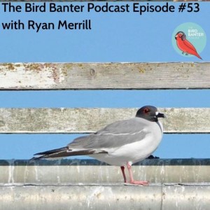 The Bird Banter Podcast Episode #53 with Ryan Merrill