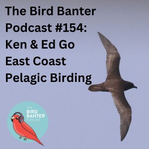 The Bird Banter Podcast #154: Ken& Ed Go East Coast Pelagic Birding