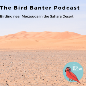 The Bird Banter Podcast: Birding Near Merzouga in the Sahara Desert