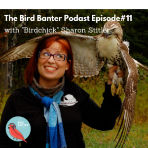 The Bird Banter Podcast Episode #11 with Birdchick -Sharon Stitler