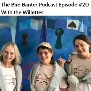 The Bird Banter Podcast Episode #20 with the Willettes