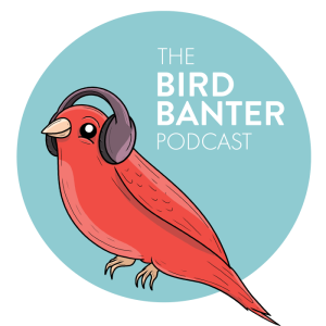 The Bird Banter Podcast Morocco Trip Days 1-2