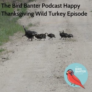 The Bird Banter Podcast Happy Thanksgiving wild Turkey Episode