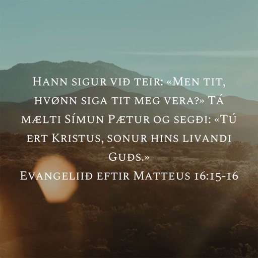 Pætur og vit
