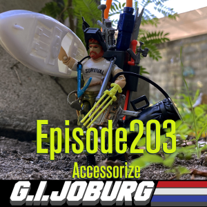 Episode 203: Accessorize