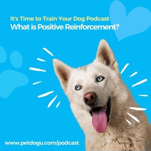 What is Positive Reinforcement?
