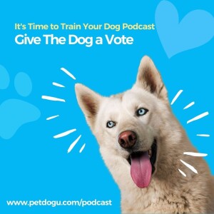 Give The Dog a Vote