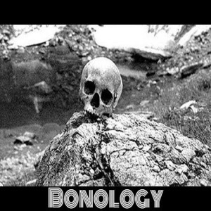 Bonology