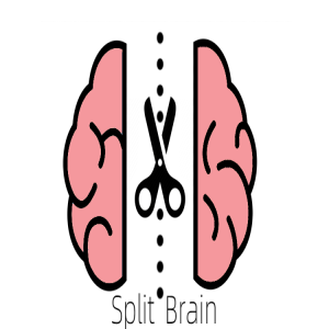 Split Brain {Episode 127}