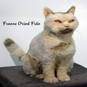 Freeze Dried Fido 