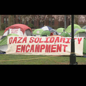 Episode 223--Pro-Palestinian Protests