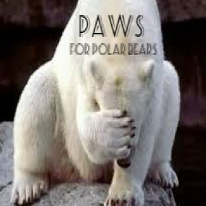 Paws for Polar Bears [Episode 134]