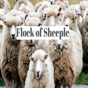 Flock of Sheeple