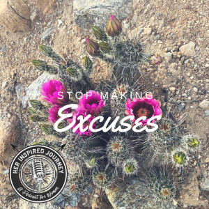 EP 014 - Stop Making Excuses 
