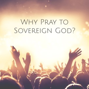 "Why Pray to a Sovereign God?"