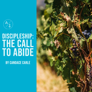 Discipleship: The Call to Abide