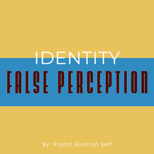 Identity - False Perception