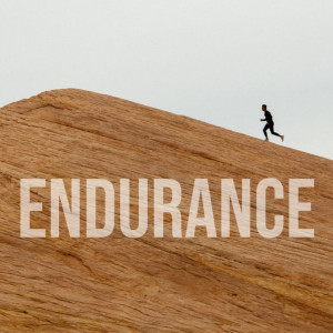 Endurance