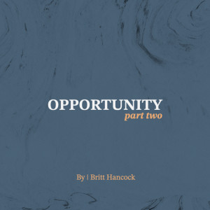 Opportunity - Pt. 2