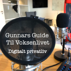 Digitalt privatliv