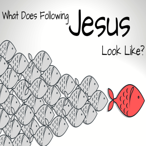 12-08-19 - What Does Following Jesus Look Like? - Speaker David Holcomb