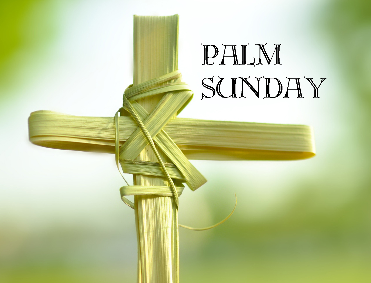 03-29-15 Palm Sunday 