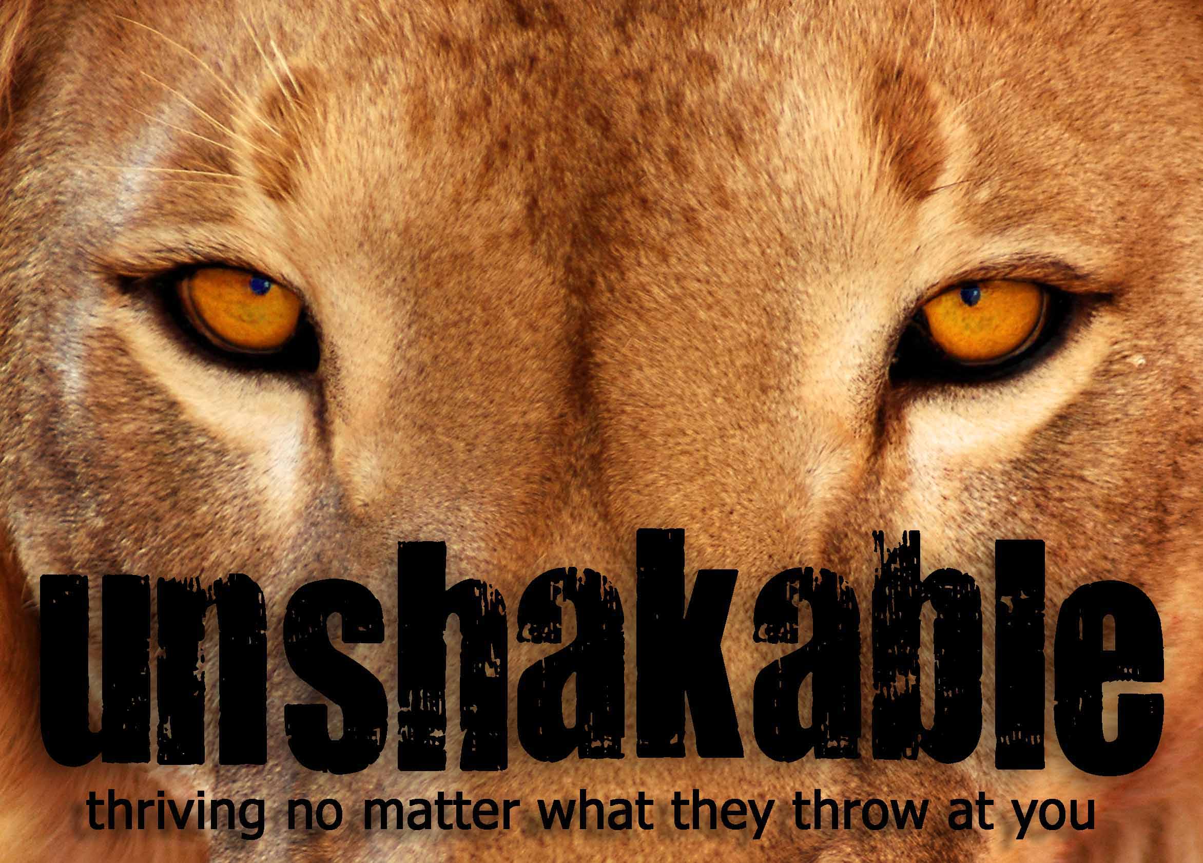 11-13-16 Unshakable - Thriving No Matter What They Throw At You - Part 8