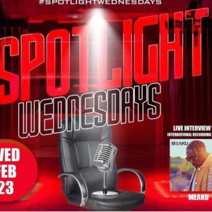 Spotlight Wednesdays w/ MEAKU