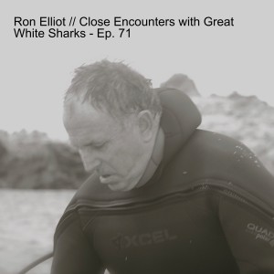 Ron Elliot // Close Encounters with Great White Sharks - Ep. 71