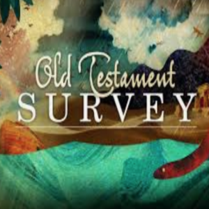 Big Picture View: Old Testament Surveys & Theologies