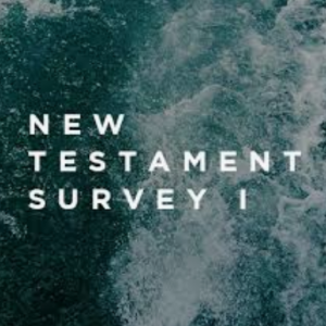 New Testament Introductions / Surveys