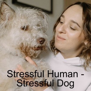 S2-E14- Stressful human - Stressful dog