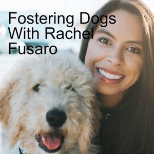 S2- E15- Fostering Dogs With Rachel Fusaro
