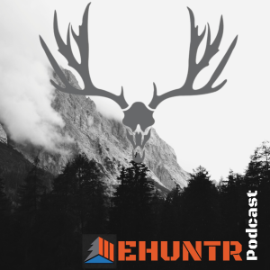 Hunt Applications Q&A