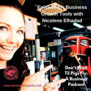 Episode 87: Business Growth Tools with Nicolene Elhadad